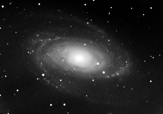 M81